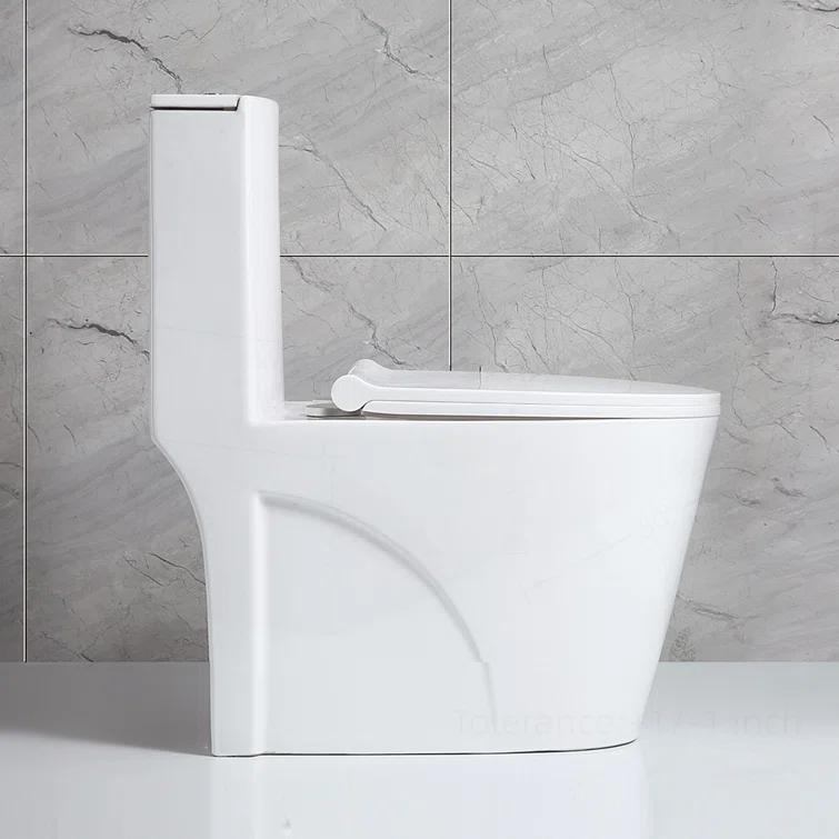 Small Compact One Piece Toilet Dual Flush