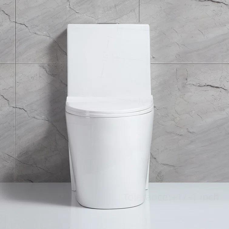 Small Compact One Piece Toilet Dual Flush
