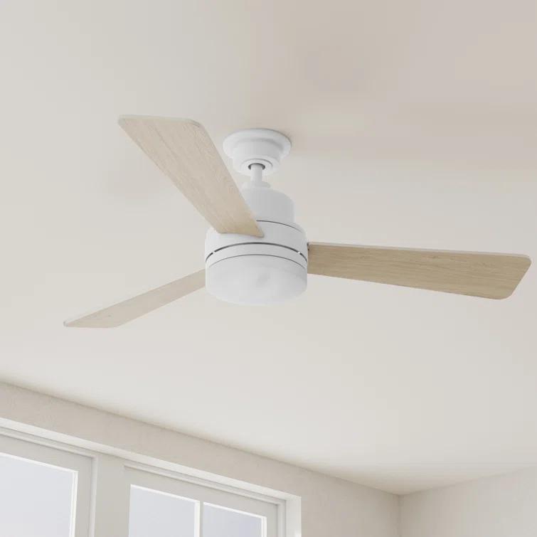 Hokku Designs Bailey-Rae 52'' Ceiling Fan with LED Lights