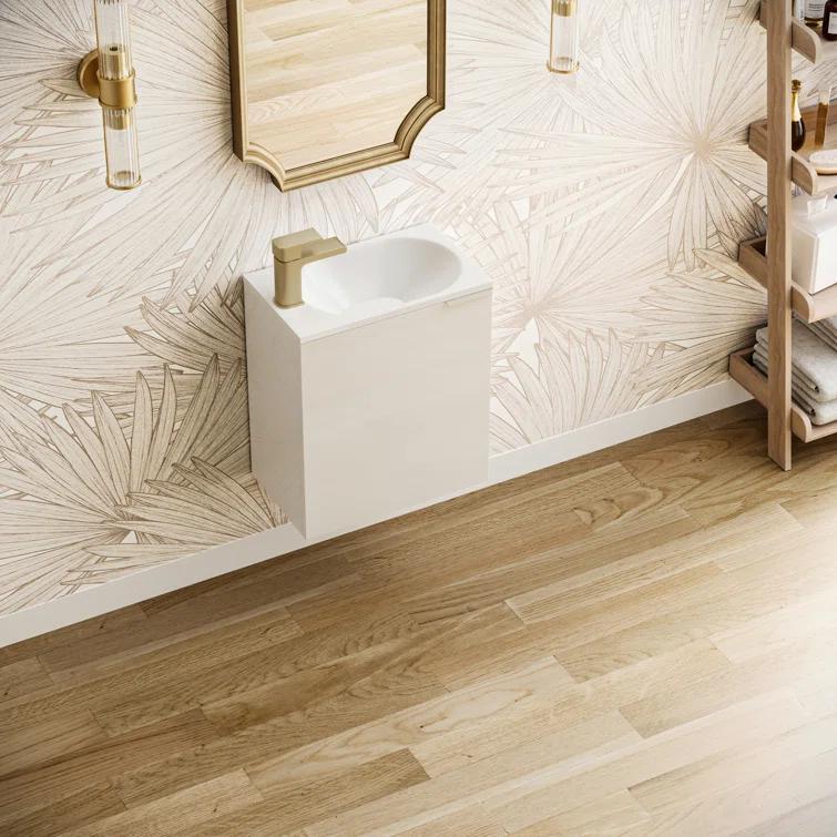 Valencia 20" Wall Mount Single Sink Bathroom Vanity with Top and Sink (Faucet Not Included)