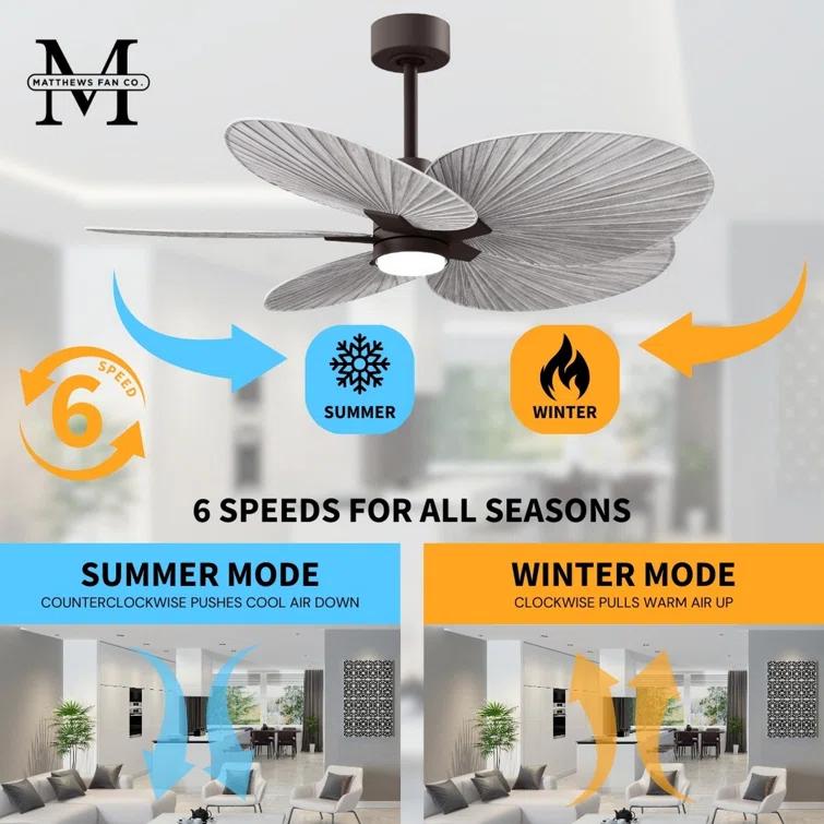 Matthews Fan Company Alessandra - Five Blade Ceiling Fan - Integrated LED