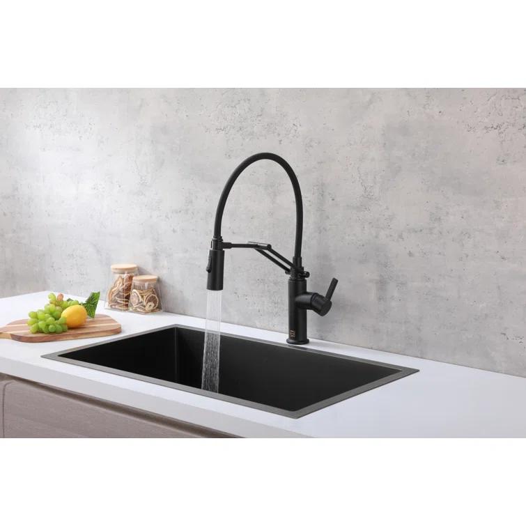 Elegant Lighting Leonardo Pull Down Spray Kitchen Faucet