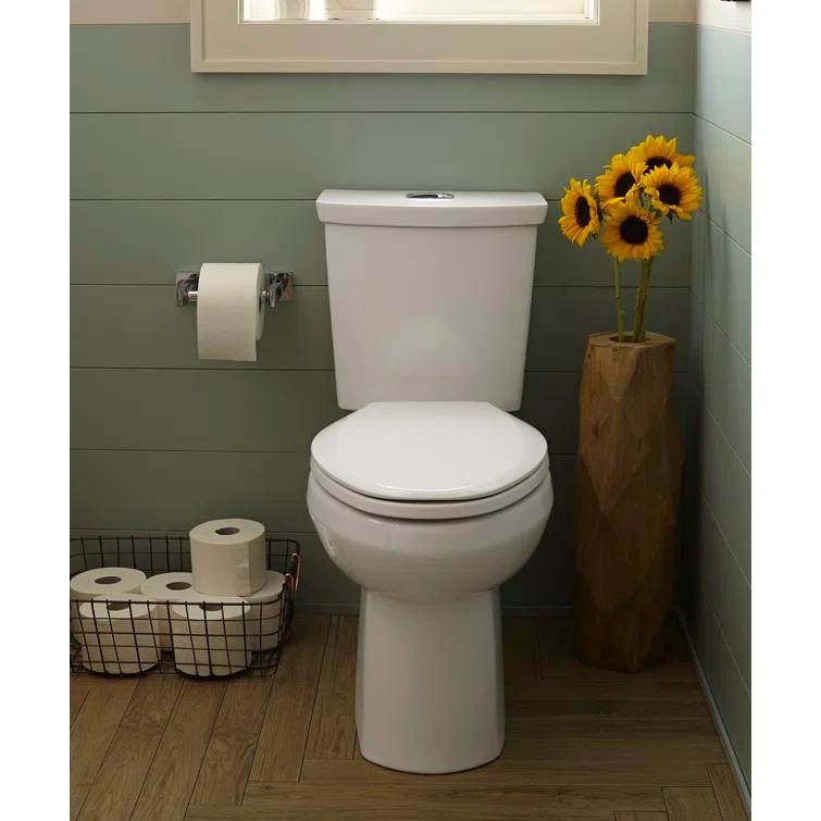 American Standard 2887518.020 American Standard H2Option GPF Elongated Comfort Height Floor Mounted Two-Piece Toilet (Seat Not Included)