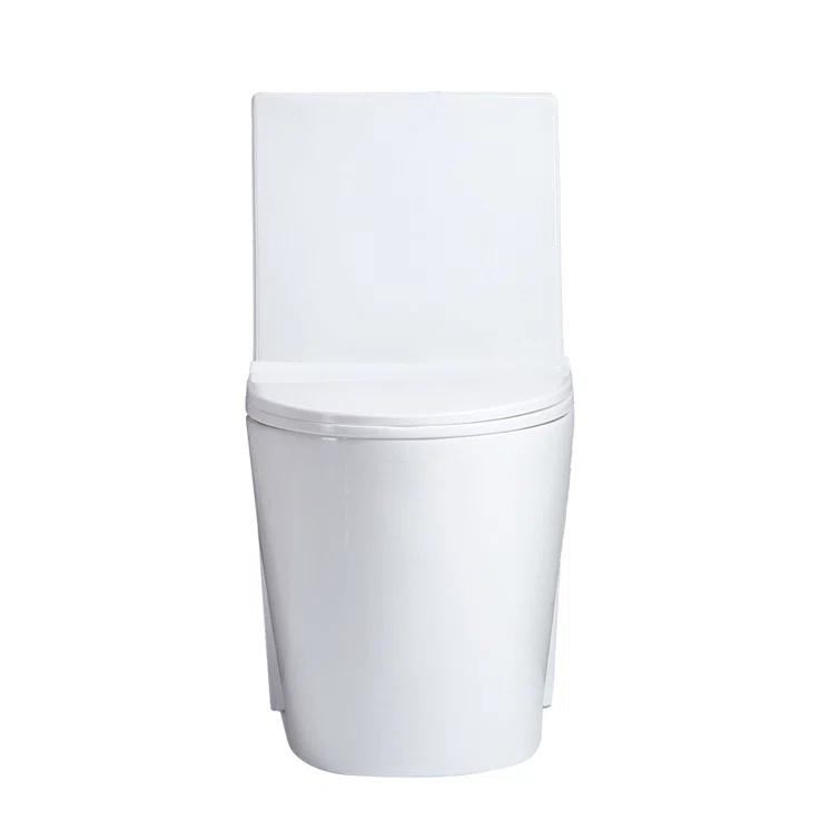 Small Compact One Piece Toilet Dual Flush