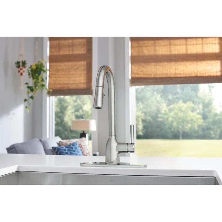 Adler Pull Down Single Handle Kitchen Faucet with Accessories