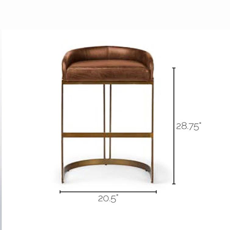 Bradley Genuine Leather Bar & Counter Stool