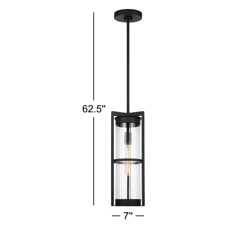 Black Clear Glass 1-Light Outdoor Pendant Lantern