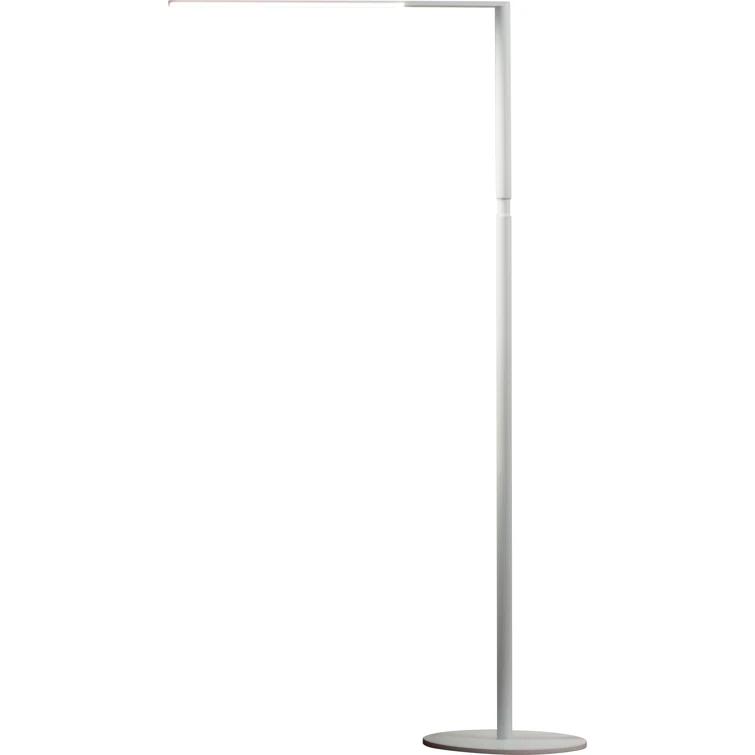 Lady7 52.05'' Dimmable LED Floor Lamp
