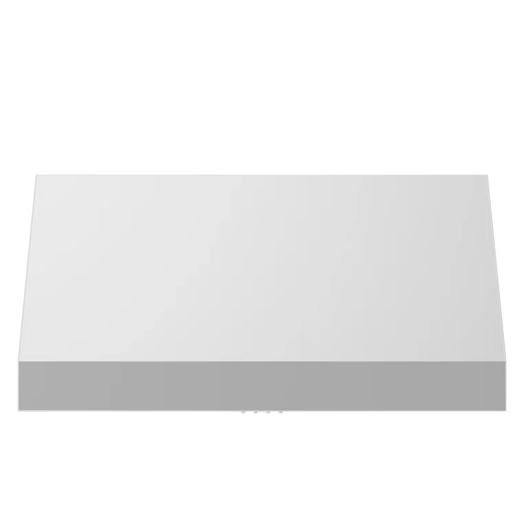 ZLINE 48 in. Convertible Vent Under Cabinet Range Hood in Stainless Steel (523-48)