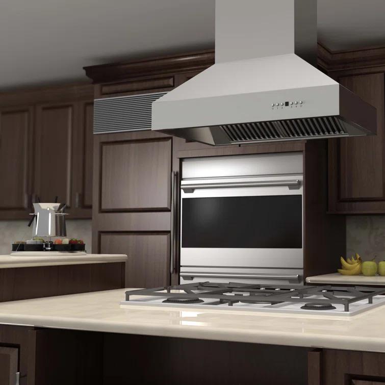 ZLINE 48 in. Ducted Isl& Mount Range Hood in Outdoor Approved Stainless Steel (697i-304-48)