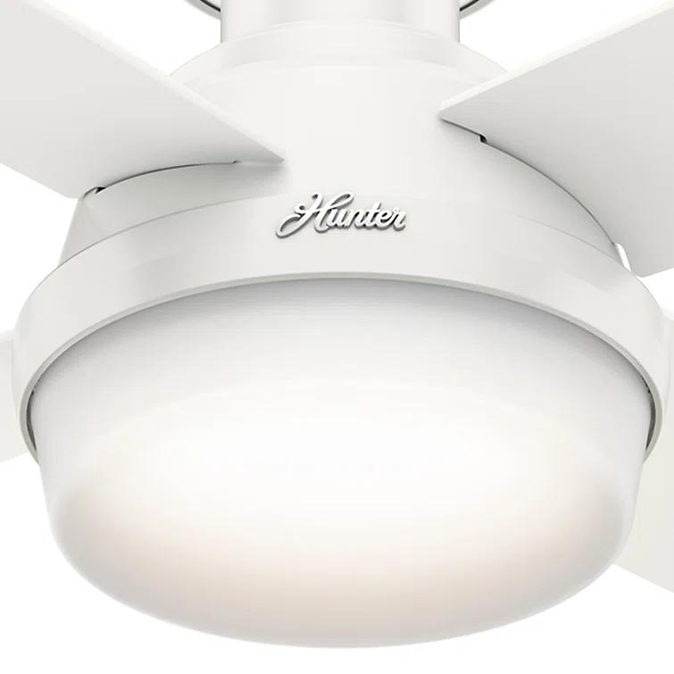Dempsey Low Profile 44" 4 - Blade Indoor Flush Mount Small Room Ceiling Fan with Lights and Remote