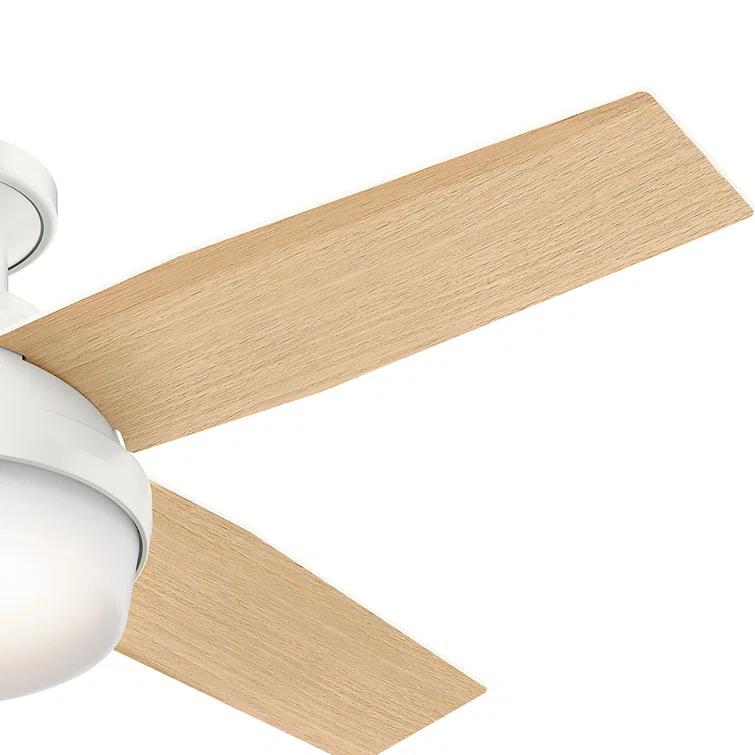 Dempsey Low Profile 44" 4 - Blade Indoor Flush Mount Small Room Ceiling Fan with Lights and Remote