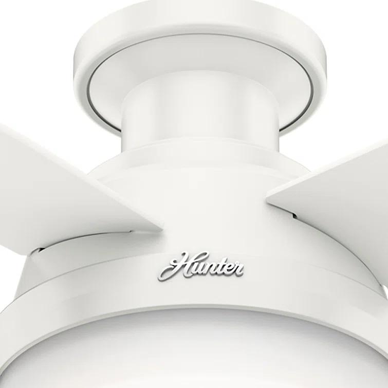Dempsey Low Profile 44" 4 - Blade Indoor Flush Mount Small Room Ceiling Fan with Lights and Remote