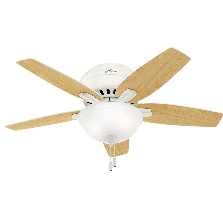 Newsome 42" 5 - Blade Traditional Flush Mount Indoor Ceiling Fan with Lights and Pull Chains