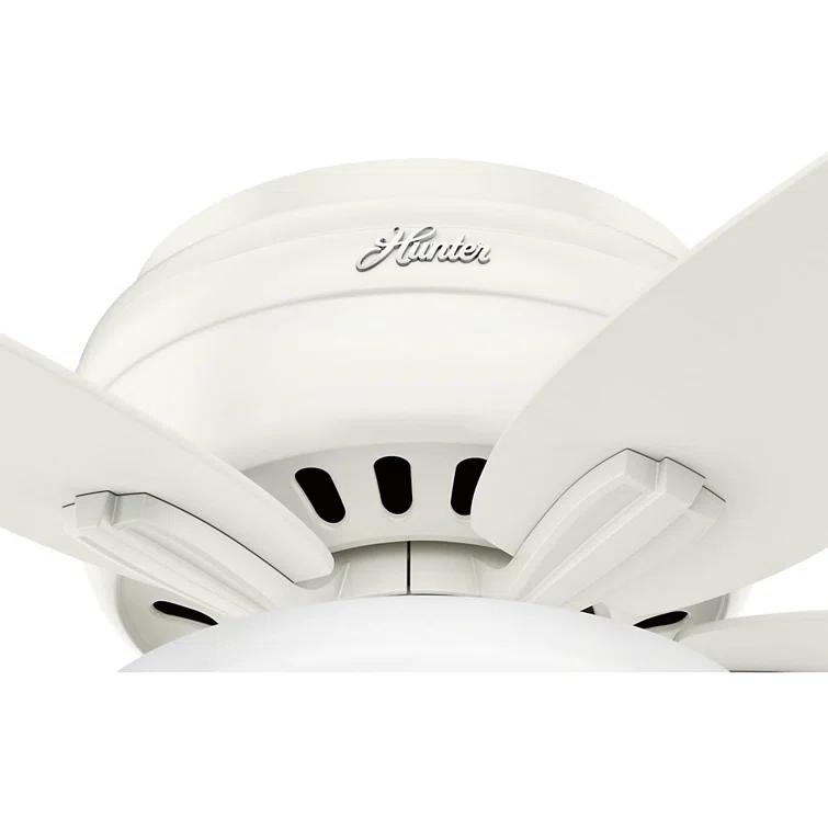 Newsome 42" 5 - Blade Traditional Flush Mount Indoor Ceiling Fan with Lights and Pull Chains