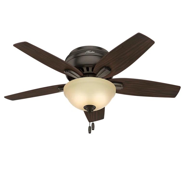 Hunter Fan Newsome 42" 5 - Blade Traditional Flush Mount Indoor Ceiling Fan with Lights and Pull Chains