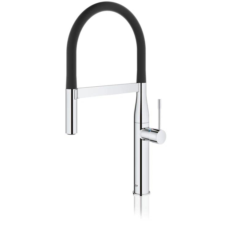 Essence New Single Handle Kitchen Faucet with SilkMove® and with Accessories