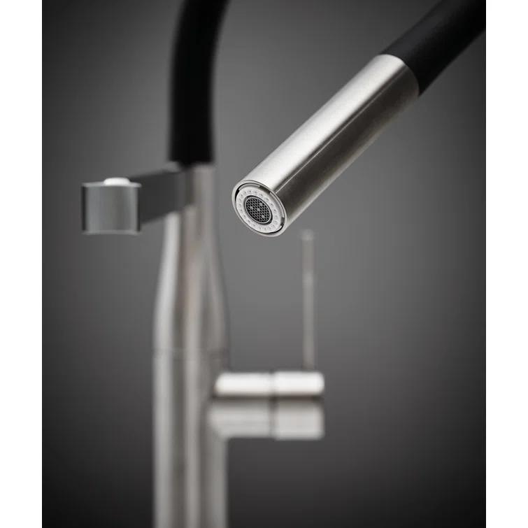 Essence New Single Handle Kitchen Faucet with SilkMove® and with Accessories