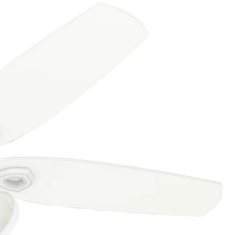 Builder Plus 52"5 - Blade Standard Ceiling Fan with Pull Chain and Light Kit Included