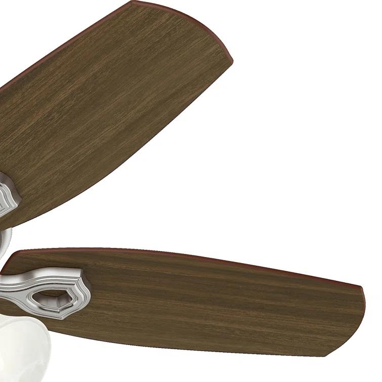 Hunter Fan 42" Builder 5 - Blade Standard Ceiling Fan with Pull Chain and Light Kit Included