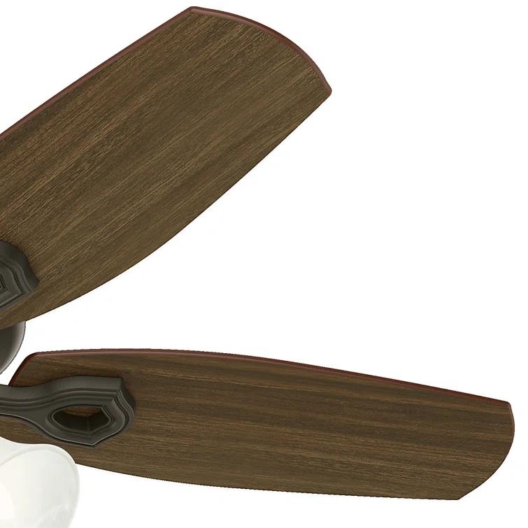 42" Builder 5 - Blade Standard Ceiling Fan with Pull Chain and Light Kit Included