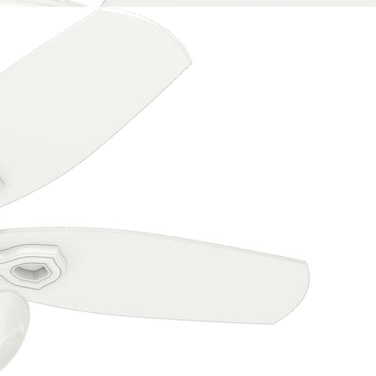 42" Builder 5 - Blade Standard Ceiling Fan with Pull Chain and Light Kit Included
