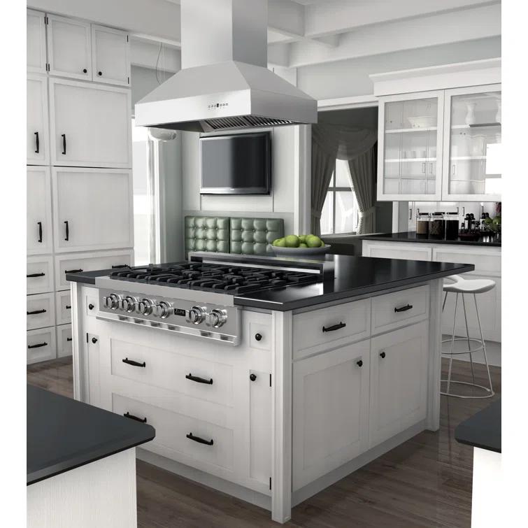 ZLINE 48 in. Ducted Isl& Mount Range Hood in Outdoor Approved Stainless Steel (697i-304-48)