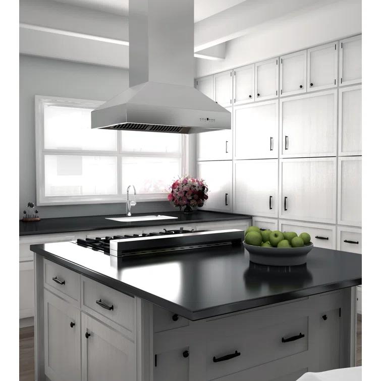 ZLINE 48 in. Ducted Isl& Mount Range Hood in Outdoor Approved Stainless Steel (697i-304-48)