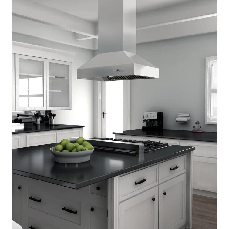 ZLINE 48 in. Ducted Isl& Mount Range Hood in Outdoor Approved Stainless Steel (697i-304-48)