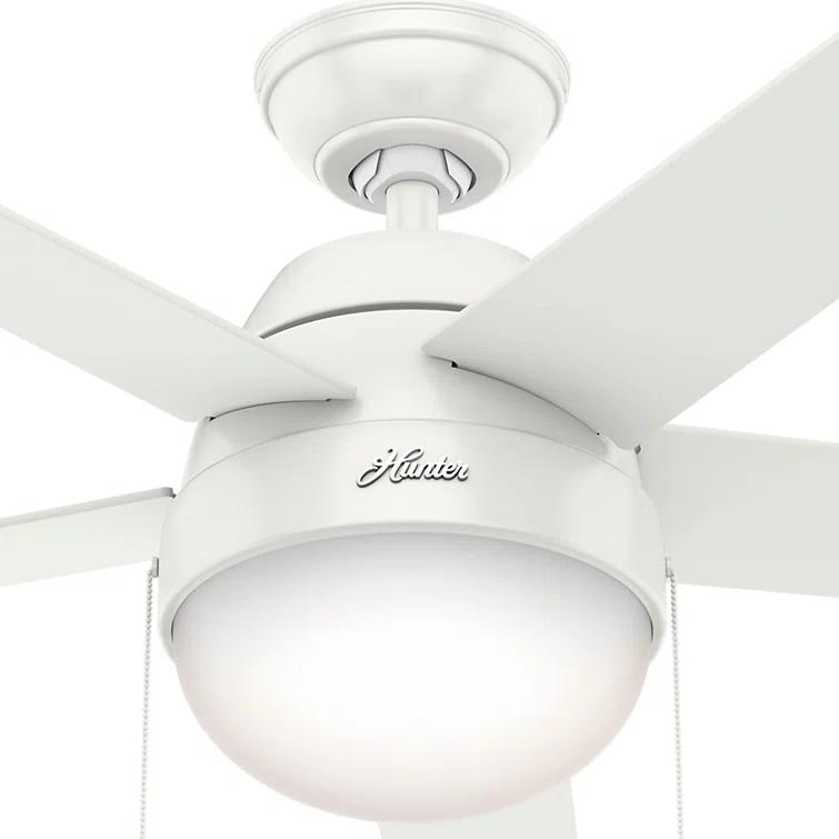 46" Anslee Standard Ceiling Fan with Pull Chain and Light Kit Included