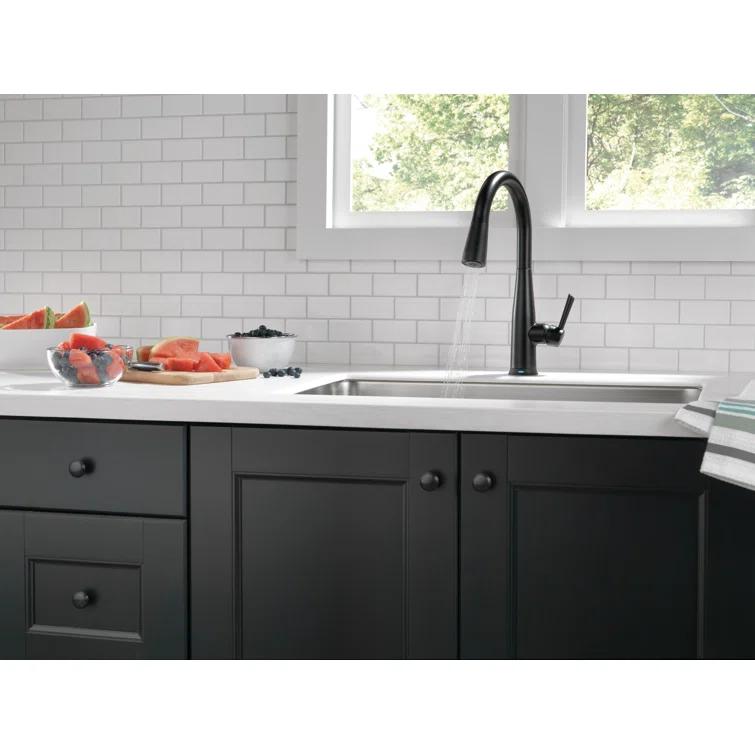 Essa Pull Down Single Handle Kitchen Faucet with MagnaTite Docking and Touch2O Technology