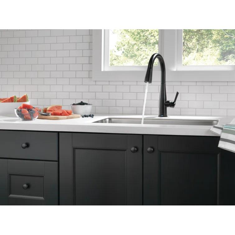 Essa Pull Down Single Handle Kitchen Faucet with MagnaTite Docking and Touch2O Technology