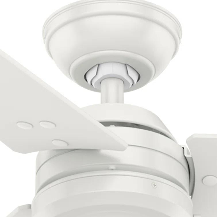 52" Cassius 3 - Blade Outdoor Standard Ceiling Fan with Pull Chain