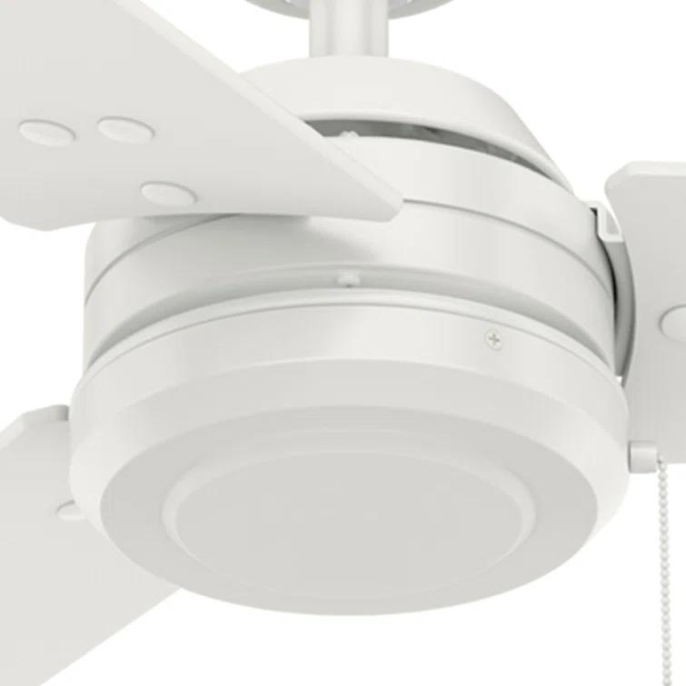 52" Cassius 3 - Blade Outdoor Standard Ceiling Fan with Pull Chain