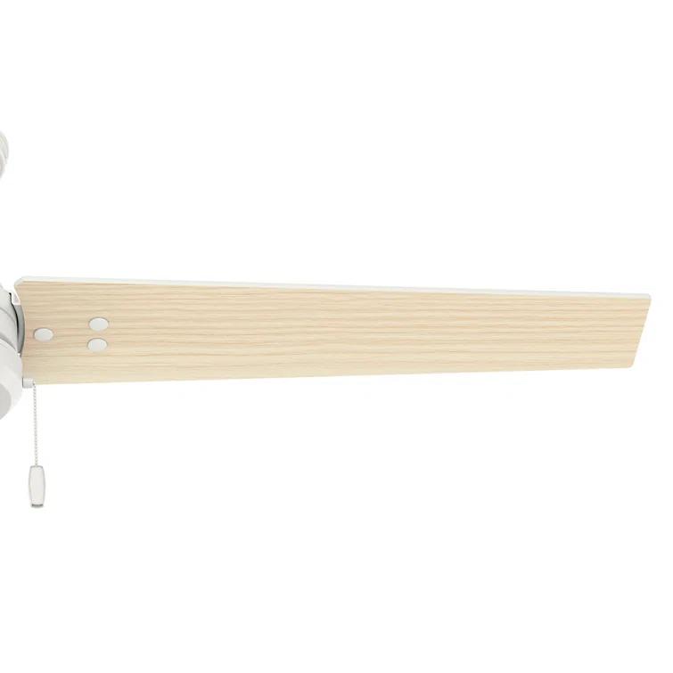 52" Cassius 3 - Blade Outdoor Standard Ceiling Fan with Pull Chain