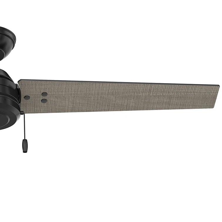 52" Cassius 3 - Blade Outdoor Standard Ceiling Fan with Pull Chain