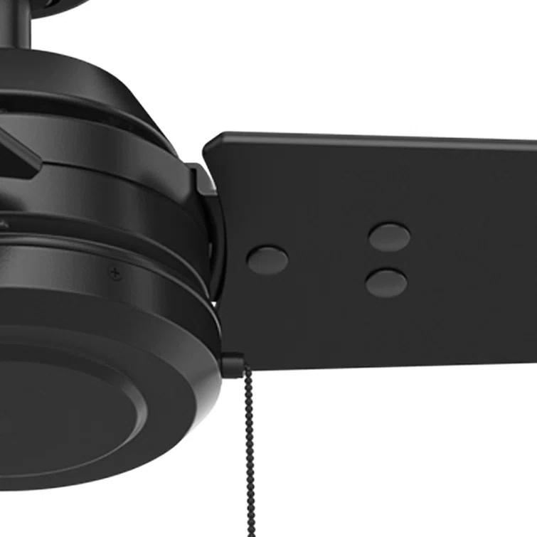 52" Cassius 3 - Blade Outdoor Standard Ceiling Fan with Pull Chain