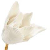 Chelsea House Garden Of Delights Tulip Arrangement in Pot