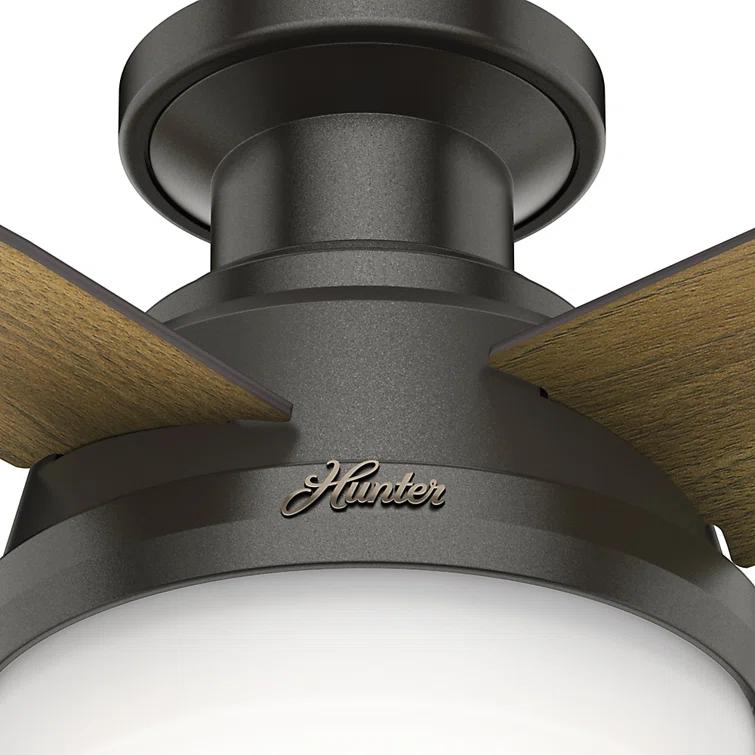 Hunter Fan Dempsey Low Profile 44" 4 - Blade Indoor Flush Mount Small Room Ceiling Fan with Lights and Remote