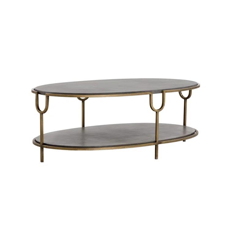 Arya Contemporary Oval Gray Coffee Table with Storage