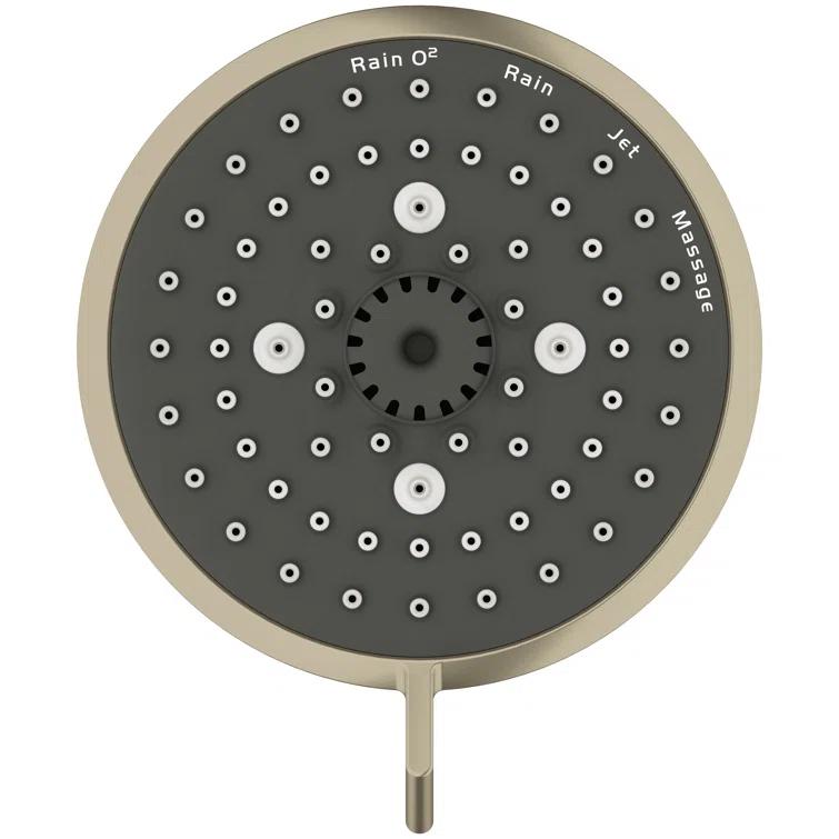 Tempesta Fixed 4-Setting Shower Head Rain O2 Rain Massage Jet Settings