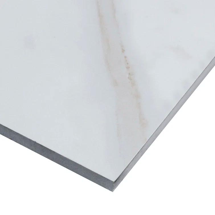 Calacatta White 24" x 24" Porcelain Field Tile