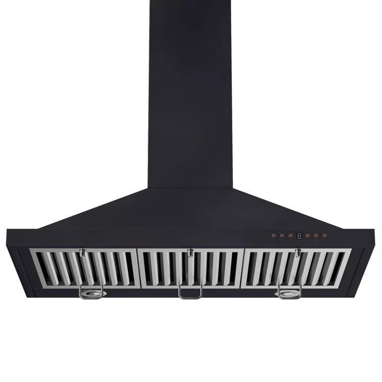 Satin ZLINE 30 in. Designer Series Satin Stainless Steel Convertible Vent Wall Mount Range Hood