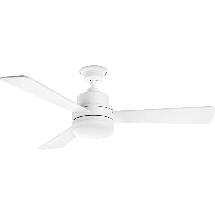 Hokku Designs Bailey-Rae 52'' Ceiling Fan with LED Lights