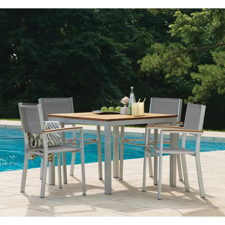 Hermes Indoor / Outdoor Dining Chair (Set of 2) - Gray and Carbon
