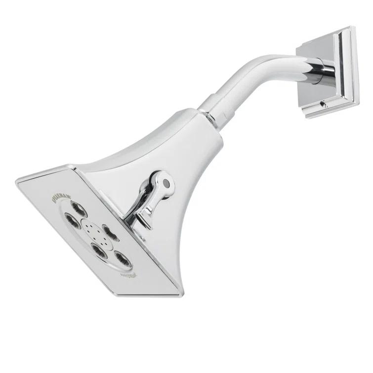 Rainier 2.0 GPM Adjustable Shower Head