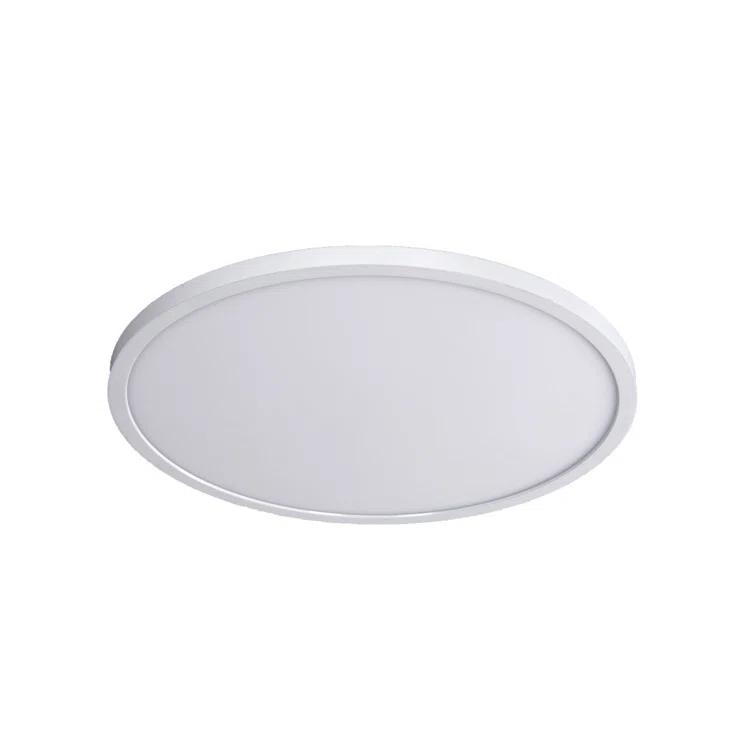 Simple Circle Dimmable LED Flush Mount Light