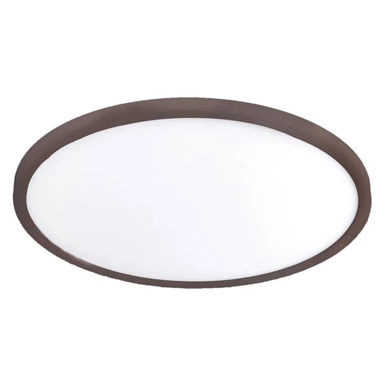 Simple Circle Dimmable LED Flush Mount Light