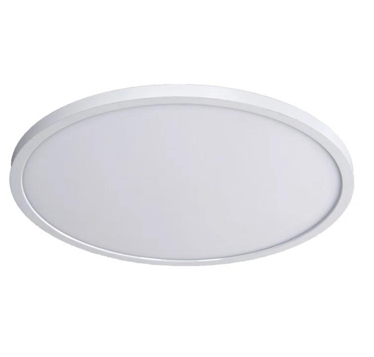 Simple Circle Dimmable LED Flush Mount Light