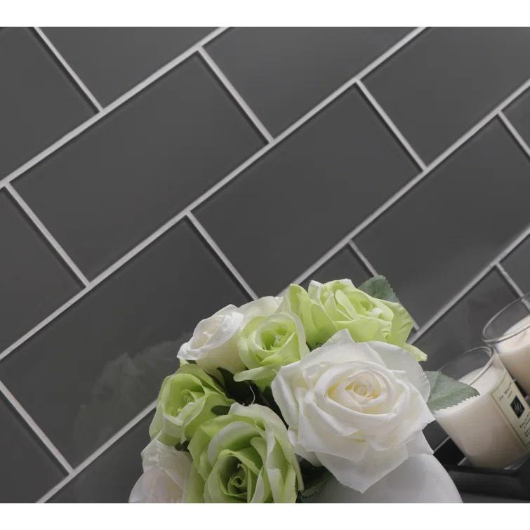 3'' W x 6'' L Glass Peel and Stick Subway Tile